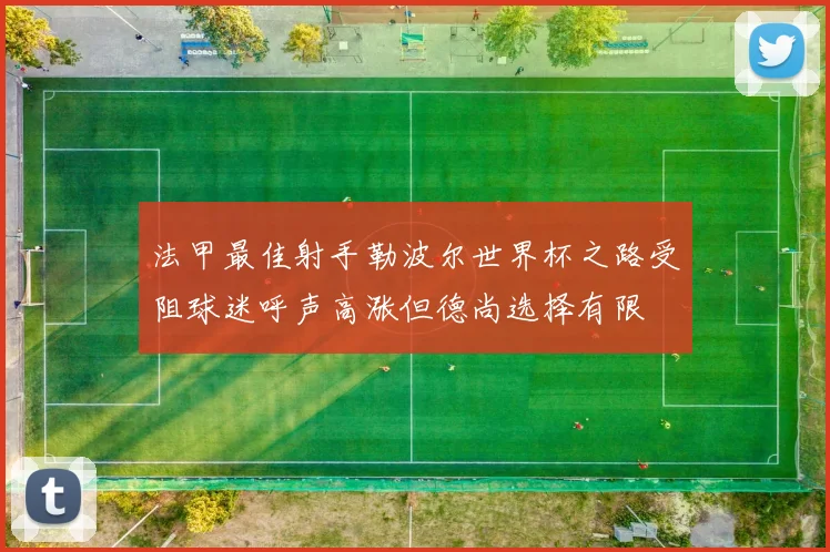 法甲最佳射手勒波尔世界杯之路受阻球迷呼声高涨但德尚选择有限